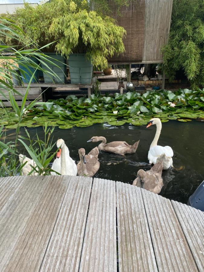 Casa Di Maksch De Miniatura Panzió Amszterdam Kültér fotó